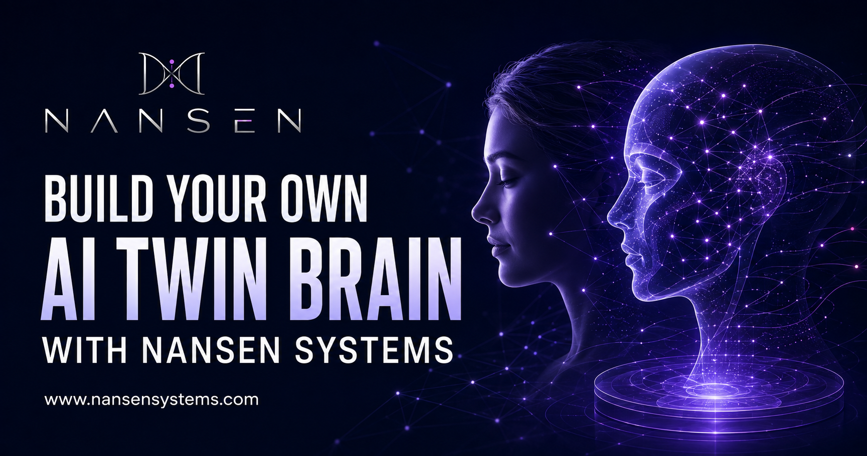 Nansen Systems brand artwork for the AI tokenomics business guide.